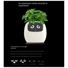 Ivy Smart Planter,USB Rechargeable Indoor Small Flower Pot for Indoor Decoration Make Raising Plant Easy and Fun White